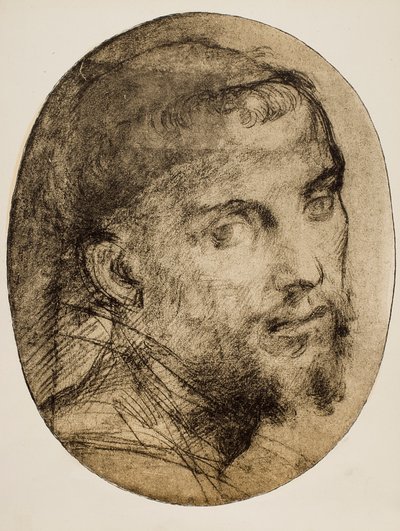 宗教的な肖像画のための研究 作： Andrea del Sarto